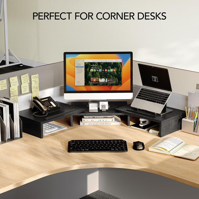 AMERIERGO Dual Monitor Stand Riser for 2 Monitors, Monitor Stand for Desk, Adjustable Computer Monitor Stand with 2 Slot, Multifunctional Desktop Organizer Stand for Laptop, PC, Computer, Printer Black