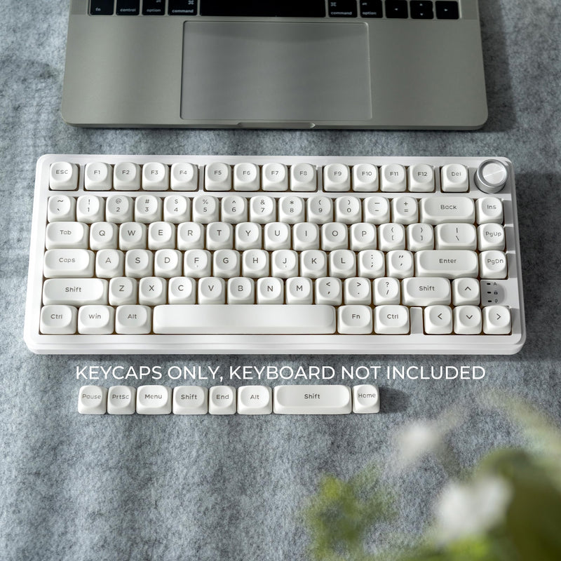 Shine Through Keycaps,White MOA Profile PBT Keycaps 117-Key For MX Switches