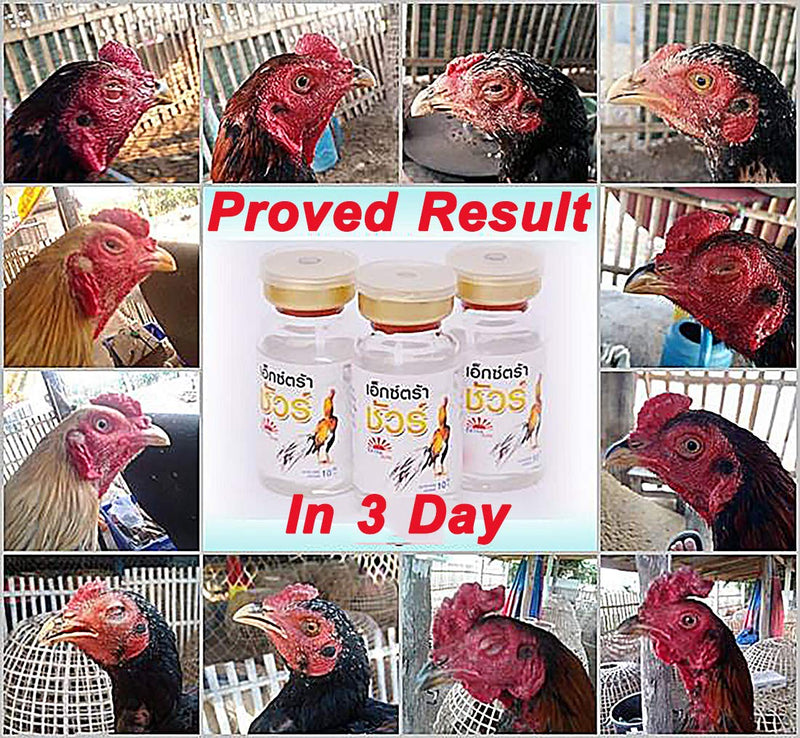 EXTER Sure Rooster Booster Health Vitamin Support Fast Result, Stimulates & Improved Immunity Feed Nourishing Poultry (EXTER Sure Increasing Fast Energy 10 ML.)