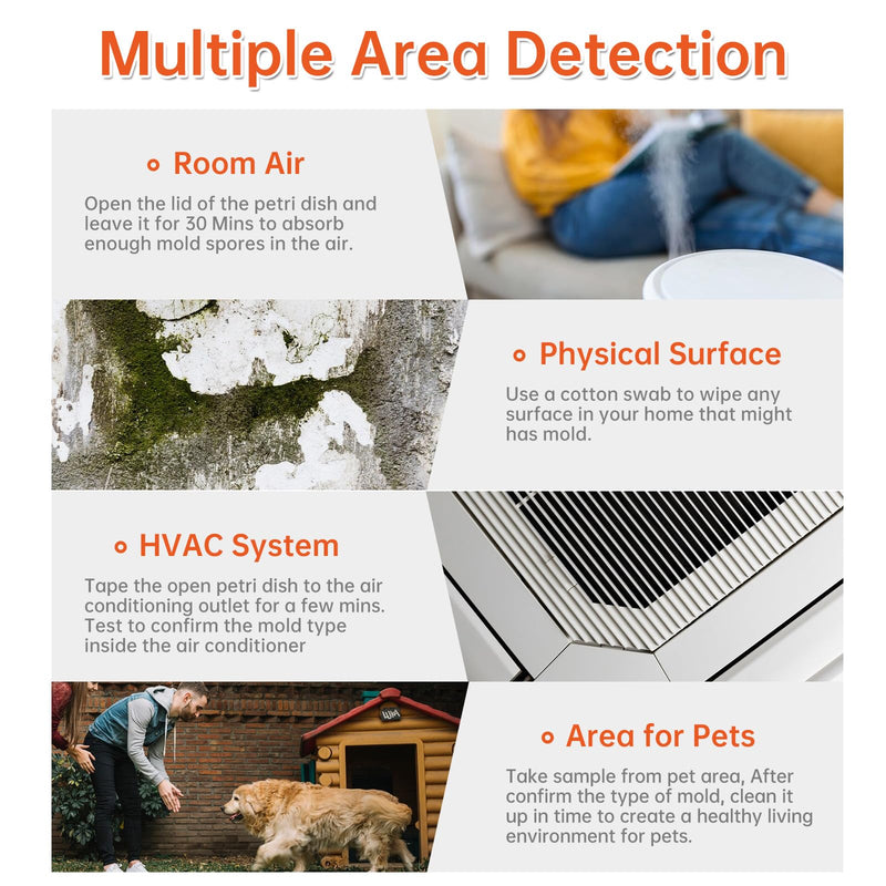Mold Test Kit for Home Within 5 Individual Tests,Test HVAC,Home Surfaces,Indoor Air Quality Testing Kits,Skin Test,DIY Black Mold Detector Testing kit,Mold Identification Guide-Free Lab Analysis