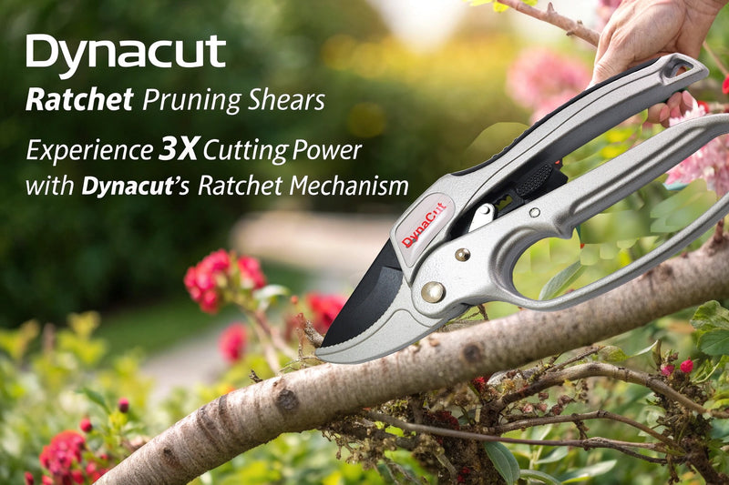 Ratcheting Pruning Shears Gardening Heavy Duty 8'', Professional Ratchet Pruning Scissors Cutter Anvil Clippers - Tree Trimmers Up To 20mm Cutting Capacity, Soft Non-Slip Grip Reduce Hand Fatigue
