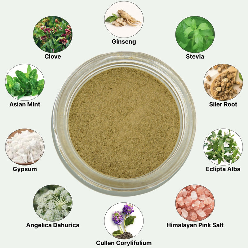 Gum Health Tooth Powder, for Sensitive Teeth with Ginseng, Mint & Clove | 3 Month Supply, Made in USA | Fluoride-Free, Traditional Herbal Formula