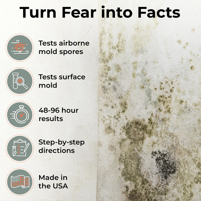 Mold Test Kit – Test 10 Different Areas in Home, Swab Sample and Air Sample, Easy-to-Use Guide, Professional-Grade Testing