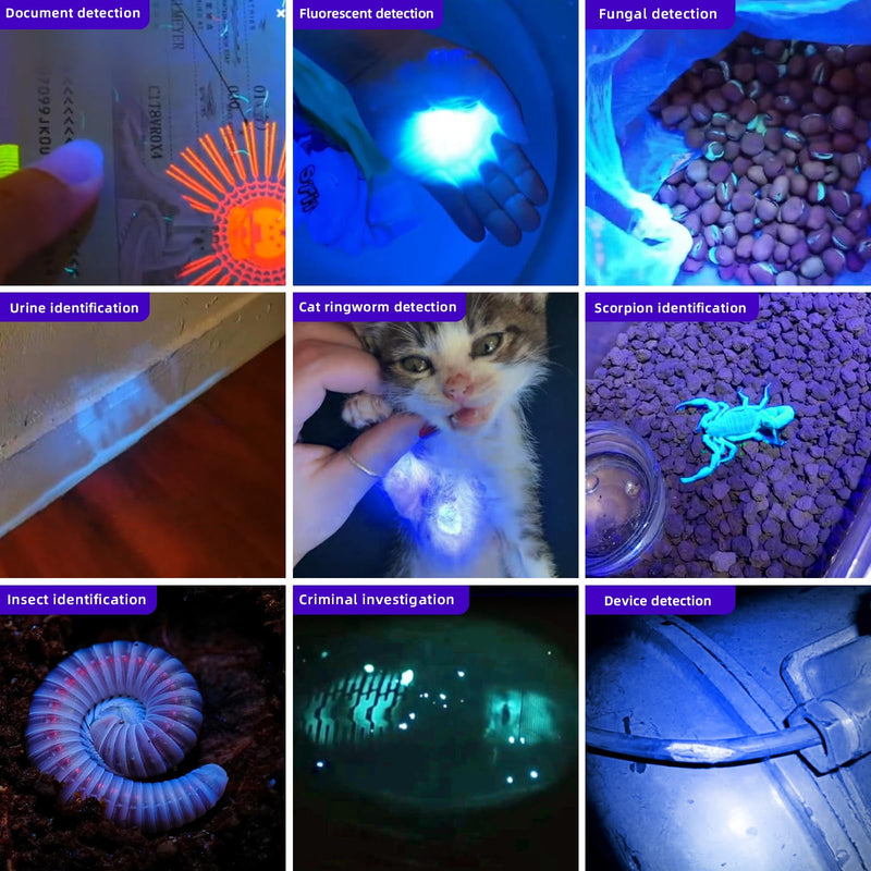 LIGHTFE UV305 High-Power UV Flashlight USB Rechargeable, Used for Hunting Ore, Scorpion and UV Glue Curing, Checking Pet Urine Stains, Identifying Currency, Official Anti-Counterfeiting Documents… UV305D