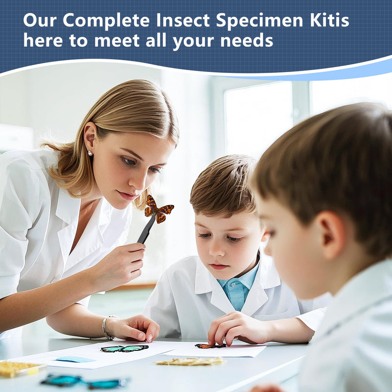 Insect Specimen Tools Kit - EVA Foam Pinning Board, Coordinate Paper, Wings Pressing Paper, Insect Pins & Butterfly Pins, Complete Entomology Kit for Beginners (Black Display Case Box Kit) Black Display Case Box Kit
