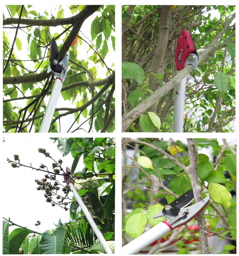 2 Feet Cut and Hold Tree Pruner, Rotation Pole Tree Trimming, Short Reach Fruit Picker, Branches Bypass Lopper 2 Feet Cut and Hold Pruner