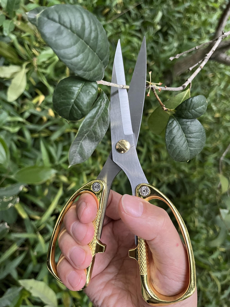 Japanese Garden Clippers, Houseplant plant shears, Floral Pruner Botanical Flower Stem scissors, Gardening Shears with Straight Stainless Steel Blades, Easy Use Garden Tools (golden-k26) golden-k26