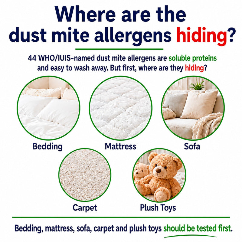 House Dust Mite Allergen Test Kit, 2 Tests, Results Within 10 Minutes - Environmental Detection for Bedding, Mattress, Carpet & Sofa - Easy to Use Household Test