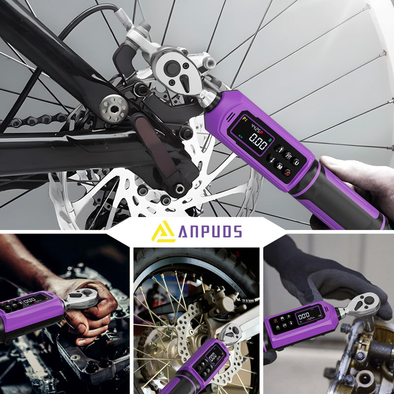 ANPUDS Digital Torque Wrench, ±1% Accuracy, 0.66-44.25 Ft-lb | 3/8 Drive Dual Direction Ratchet Electric Torque Wrench, Vibration/Buzzer/LED Flash Alert, for Bike Motorcycle & Automotive
