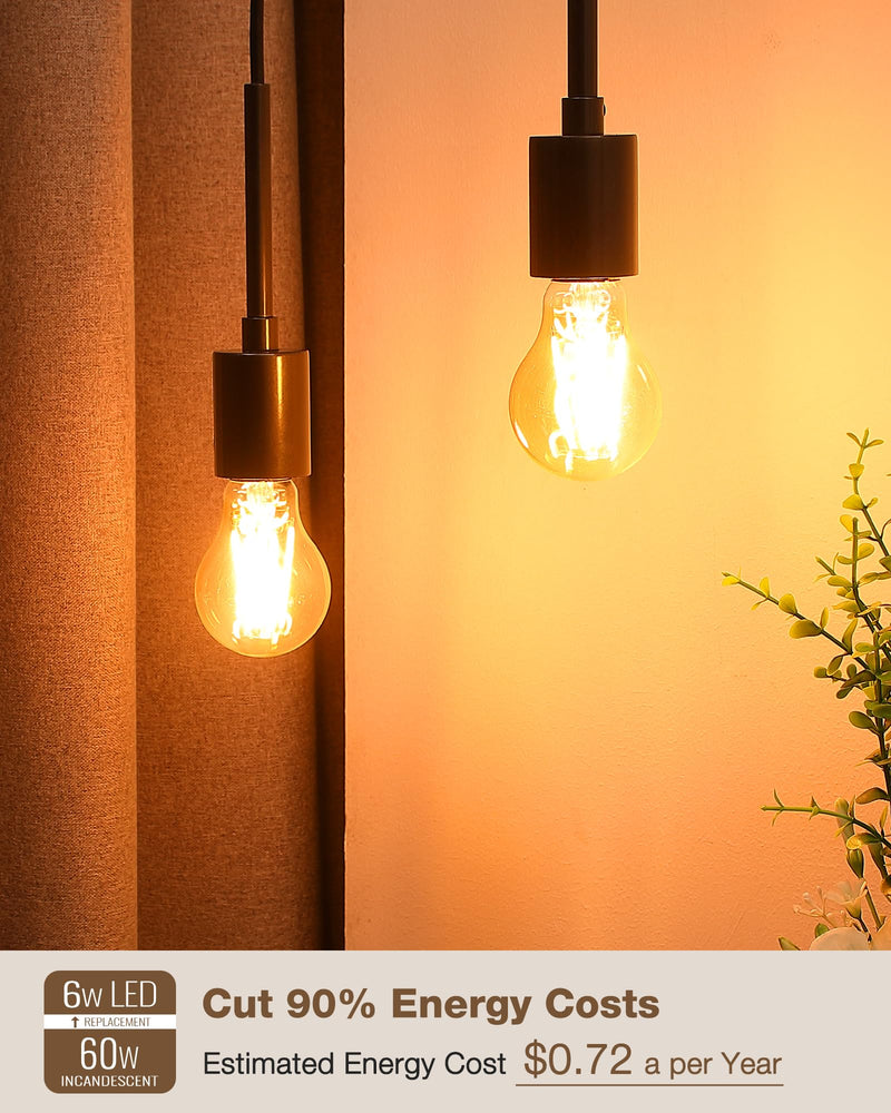 Lafoy A19 Amber 2200K Soft Warm E26 Light Bulbs, Dimmable Vintage LED Edison Bulbs 60 Watt Equivalent, 550 Lumen Medium Base Lightbulbs, Antique Old-Fashioned Style 60W Replacement, 120V 12 Pack 2200k Amber Warm 12 Count(Pack of 1)
