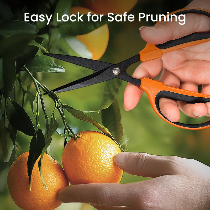 GROWNEER 6 Packs Trimming Scissors Teflon Coated Non Stick Blades Pruning Shears Gardening Hand Pruning Snips with Straight Stainless Steel Precision Blade 6.0