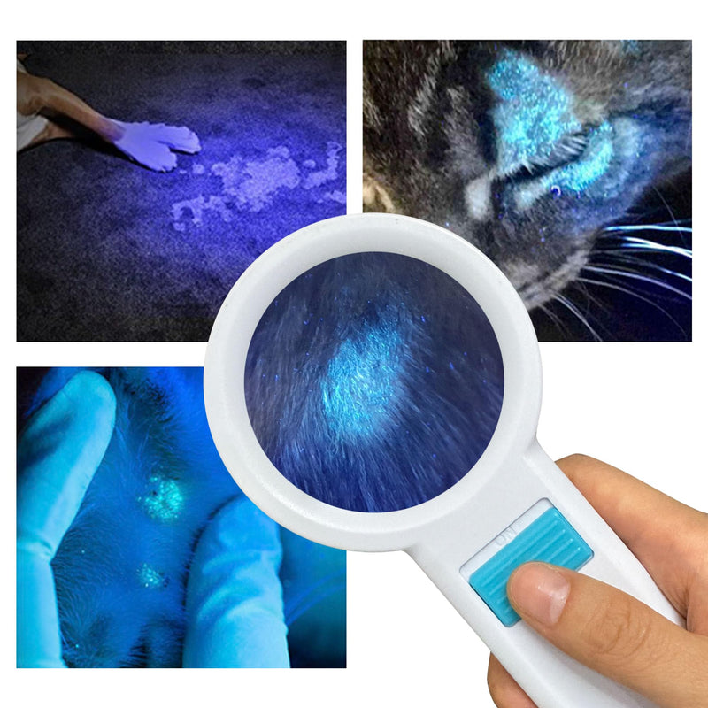 Cordless Wood's Lamp Ringworm Detection Light-Skin Testing-Esthetician-Veterinaria-5x Magnifying Wood Lamp Black Light-16 LED-Battery Powered