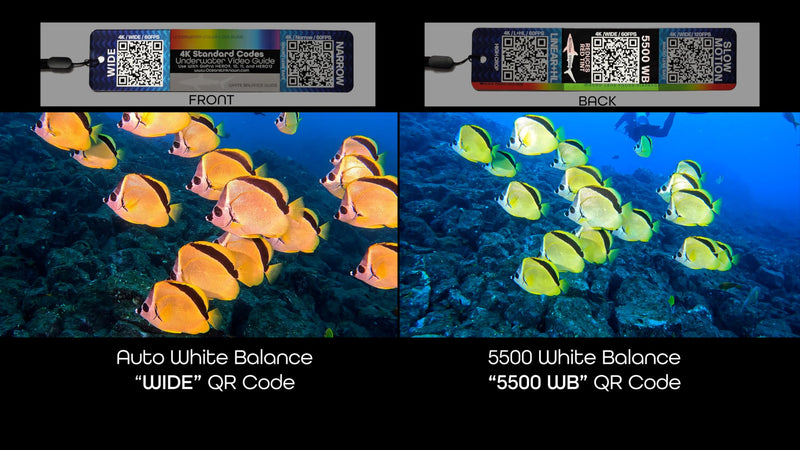 Underwater Video Guide (3-Card Package) with QR Code Camera Settings for use with GoPro HERO9, HERO10, HERO11, HERO12, HERO13, and Mission Cameras.