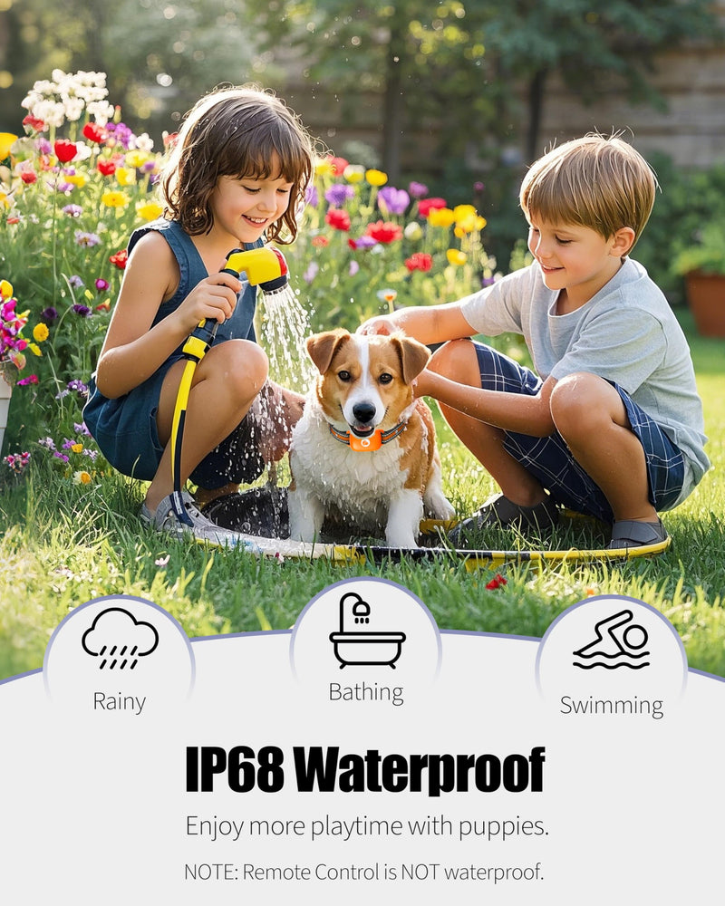 Shock Collar for Dogs Orange, 2600FT Dog Shock Collar for 10-120lbs | Beep Vibration Shock Dog Training Collar with Remote, Security Lock, Rechargeable IPX8 Waterproof, Fits 10-120lbs Dogs 1x Dog (Orange)
