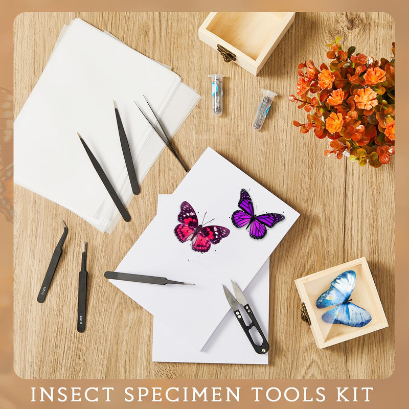 Spiareal 55 Pcs Insect Specimen Tools Kit Include 3.54 x 3.54 x 1.77 in 8 Pcs Display Case Box 6 Foam Pinning Board 3 Tubes Pins 6 Tweezers Butterfly Insect Pinning Kit Entomology Collection Supplies