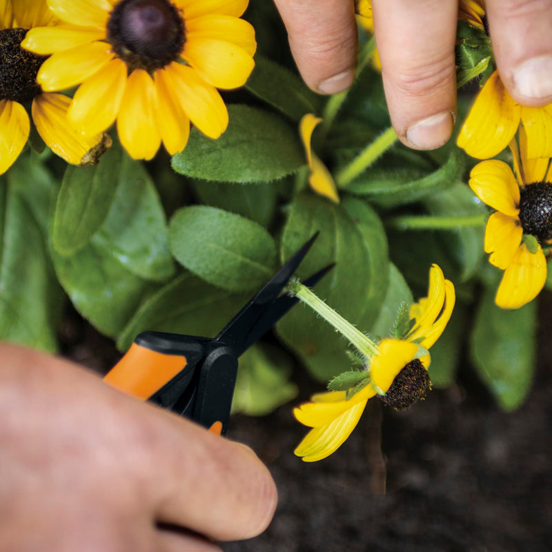 Fiskars 6" Pruning Scissors (2-Pack) for Flowers, Buds, Weeds and Small Plants, Garden Snips with Resin Resistant Nonstick Stainless Steel Blades, Gardening Trimmers with Comfortable Handle Non-Stick Snips (2-Pack)