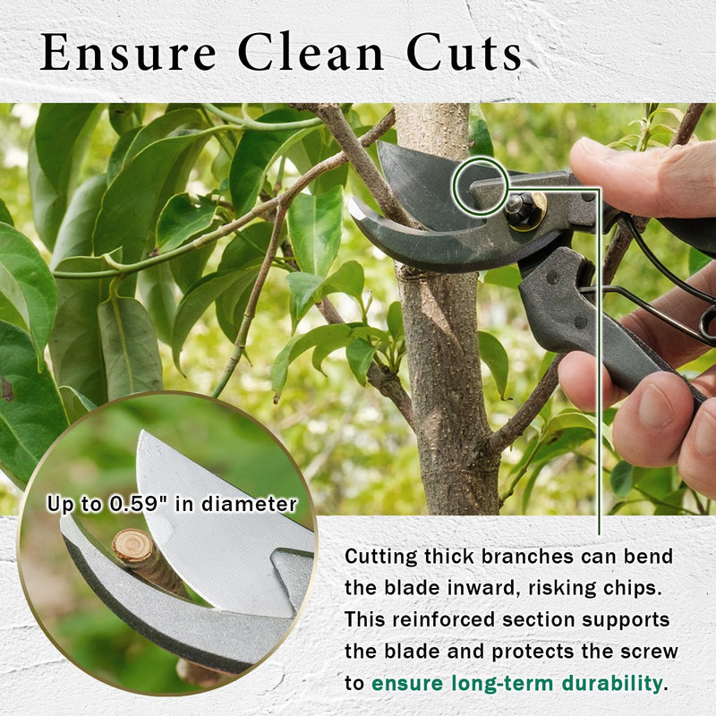 Professional Forged Bypass Pruning Shears 7.9" Japanese Hand Garden Scissors Made in Japan (Cusion-Spring Model) Cusion-Spring Model