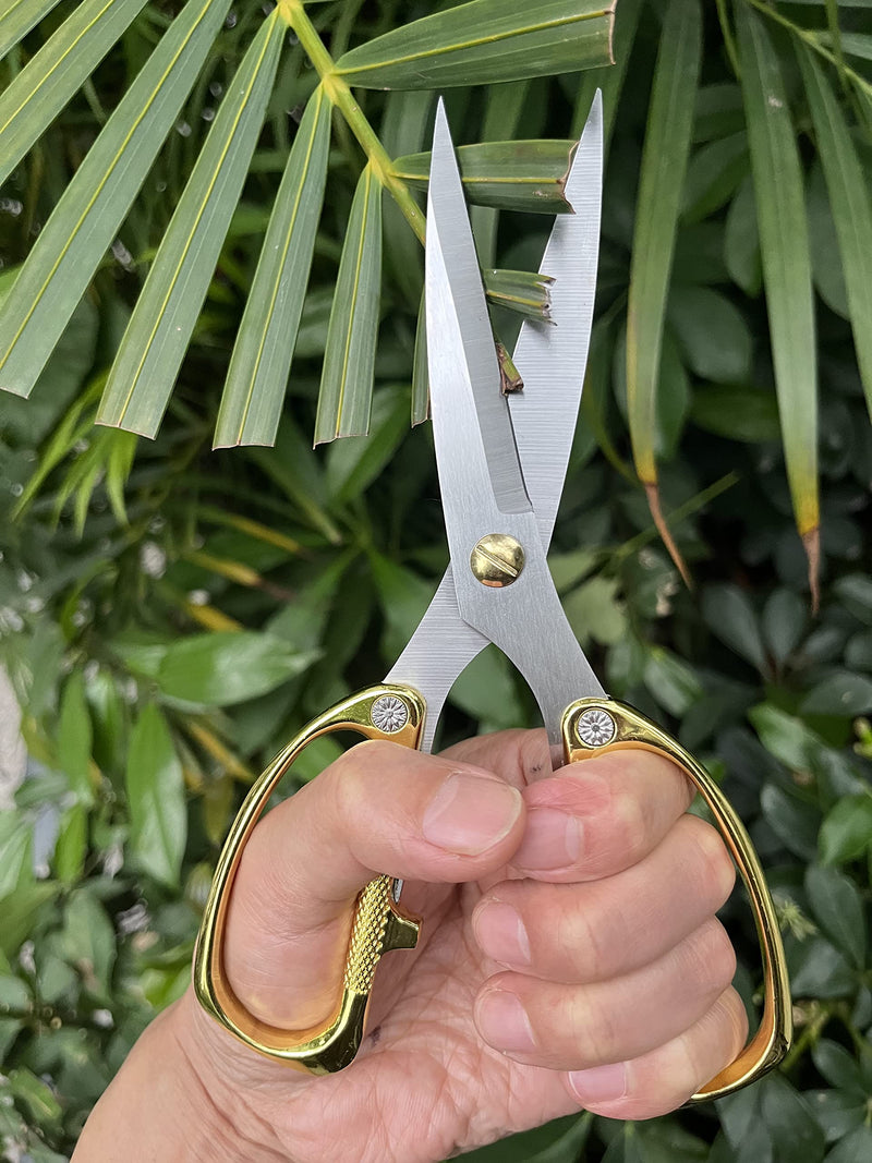 Japanese Garden Clippers, Houseplant plant shears, Floral Pruner Botanical Flower Stem scissors, Gardening Shears with Straight Stainless Steel Blades, Easy Use Garden Tools (golden-k26) golden-k26