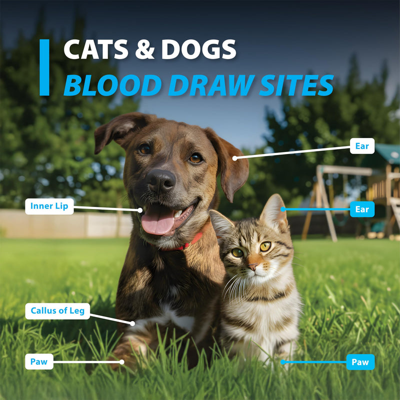 EasyTouch Pet Glucose Test Strips for Dogs & Cats (50 Count) | Compatible with Easy Touch Pet Glucose Monitoring System Pet Glucose Test Strips (50 Count)