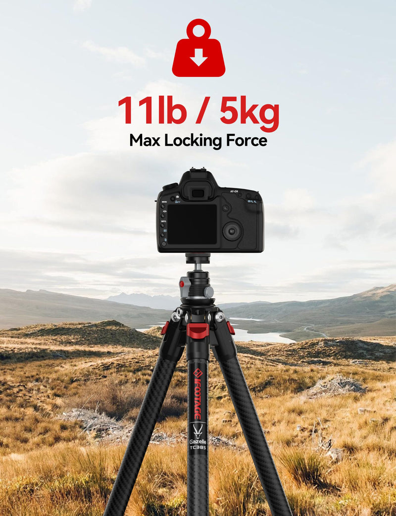 IFOOTAGE Mini Ball T31D Head,65mm Camera Monopod Head,Metal Tripod Heads | 360° Rotation for Panoramic Shooting,90° & 360° Flexible Ball Head,1/4" Screw and Cold Shoe Mount,Max.PayLoad 11lb