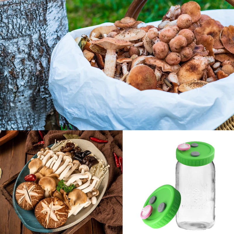 10 Pcs Mushroom Liquid Culture Lids for Wide Mouth Mason Jar with 0.22um PTFE Filter & Self-healing Rubber Stopper, Cultivation Mason Jar Cap for Mushroom Grow