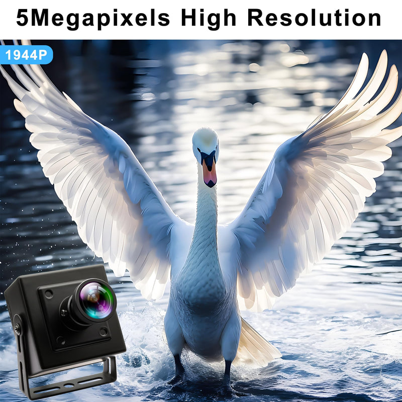 50FPS USB Camera Global Shutter High Speed Golf Swing USB Webcam with Wide Angle No Distortion Color Lens USB2.0 Plug and Play for Slow Motion Industrial Machine VR Robotic Vision 110 Degree No Distortion Lens