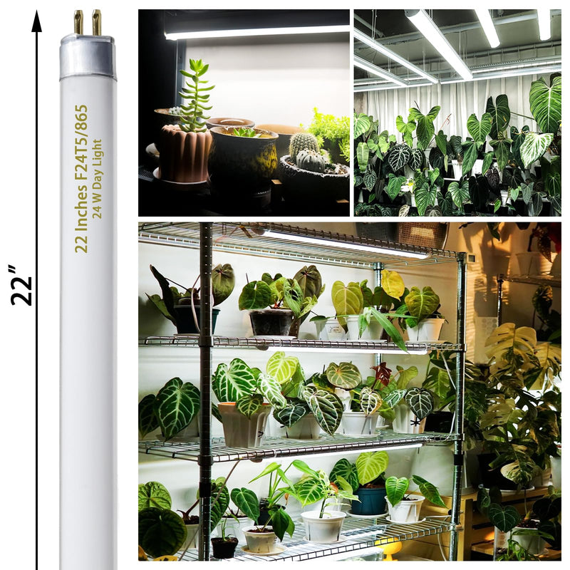F24T5/865 6 Pack 22 Inch T5 Fluorescent Grow Light Bulbs, 24W 6500K Full Spectrum, 2000 Lumens, High Output (HO) Bulbs for Indoor Plants, Seedlings, Veg Growing, Sunlight White, Energy Efficient 24.0