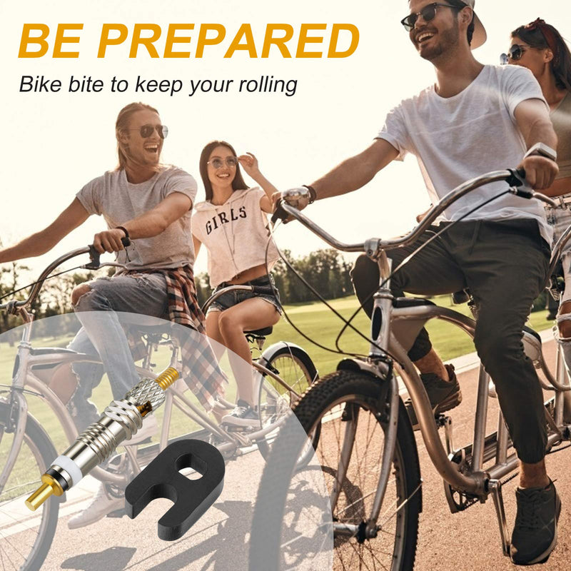 HZJD Presta Valve Core Bike(2 Pack) silver gold