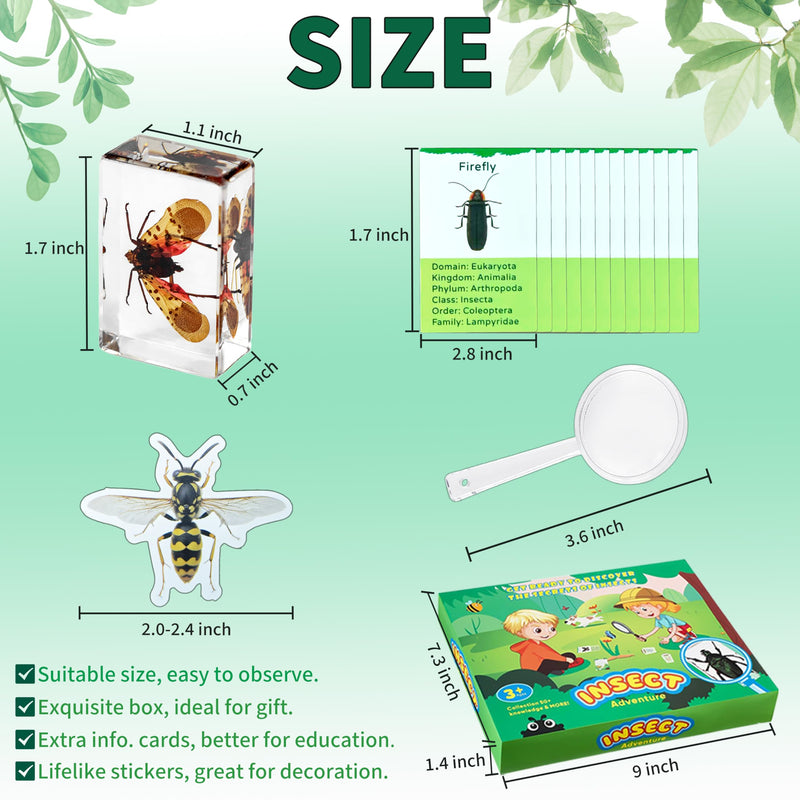 Insect in Resin Specimen, 12 PCS Scientific Educational Bugs Collection, Real Specimens of Various Butterflies and Beetles Preserved, Stickers, Science Classroom Preschool Display(Total 61pcs)