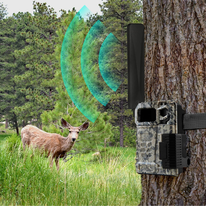 Bingfu 4G LTE Cellular Trail Game Camera Antenna 9dBi RP-SMA Male (10-Pack) Compatible with Spypoint Stealth Cam Tactacam Cuddeback Camera Wireless Router Security Camera [RP-SMA]-Male Antenna (10-Pack)
