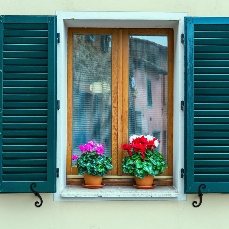 MorningRo 6 Pack Black S Style Shutter Dogs 6.5 Inches Shutter Dog Holders with Mounting Hardware External Shutters Tieback for Exterior Decorative (Aluminum) Aluminum