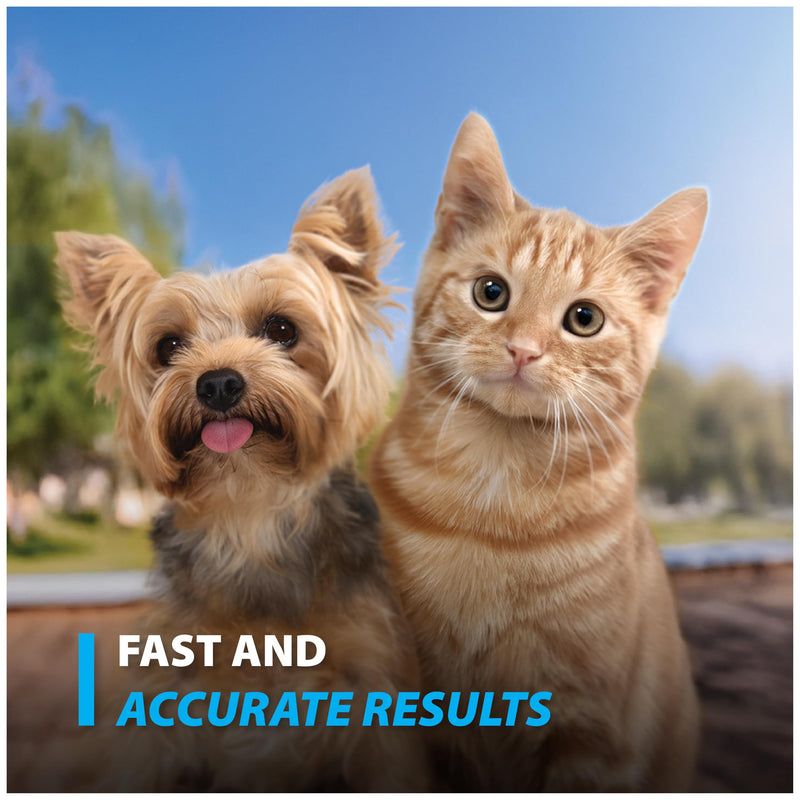 EasyTouch Pet Glucose Test Strips for Dogs & Cats (50 Count) | Compatible with Easy Touch Pet Glucose Monitoring System Pet Glucose Test Strips (50 Count)