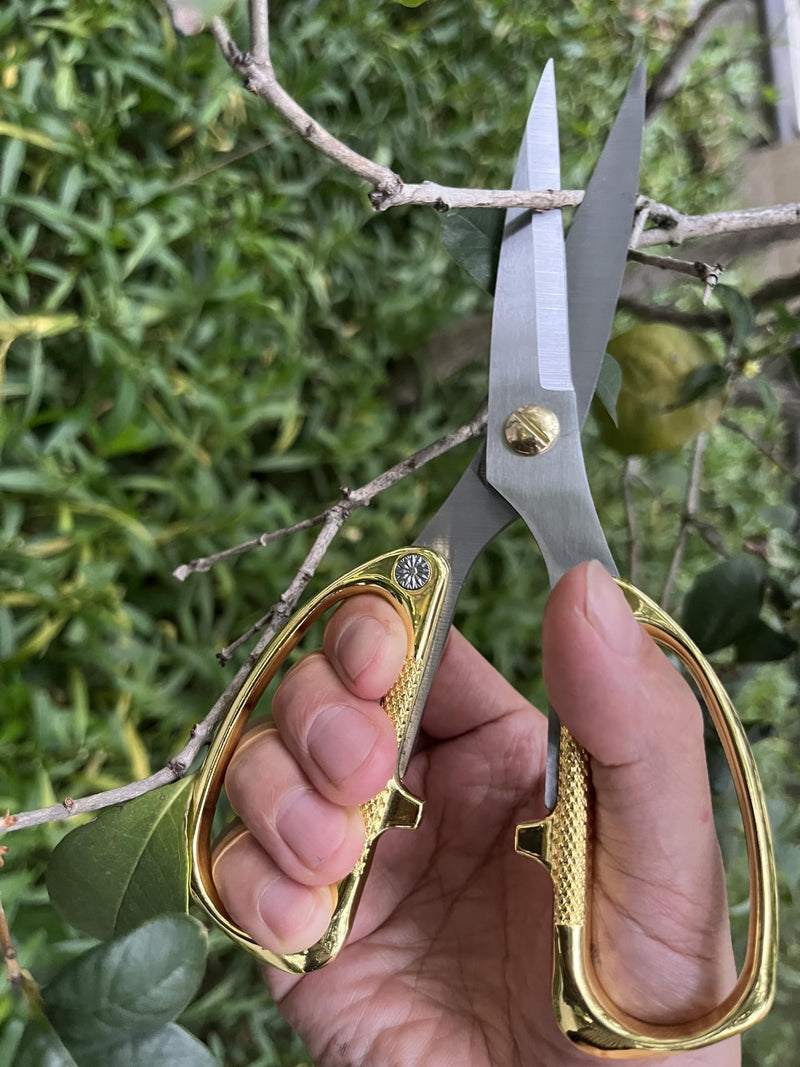 Japanese Garden Clippers, Houseplant plant shears, Floral Pruner Botanical Flower Stem scissors, Gardening Shears with Straight Stainless Steel Blades, Easy Use Garden Tools (golden-k26) golden-k26