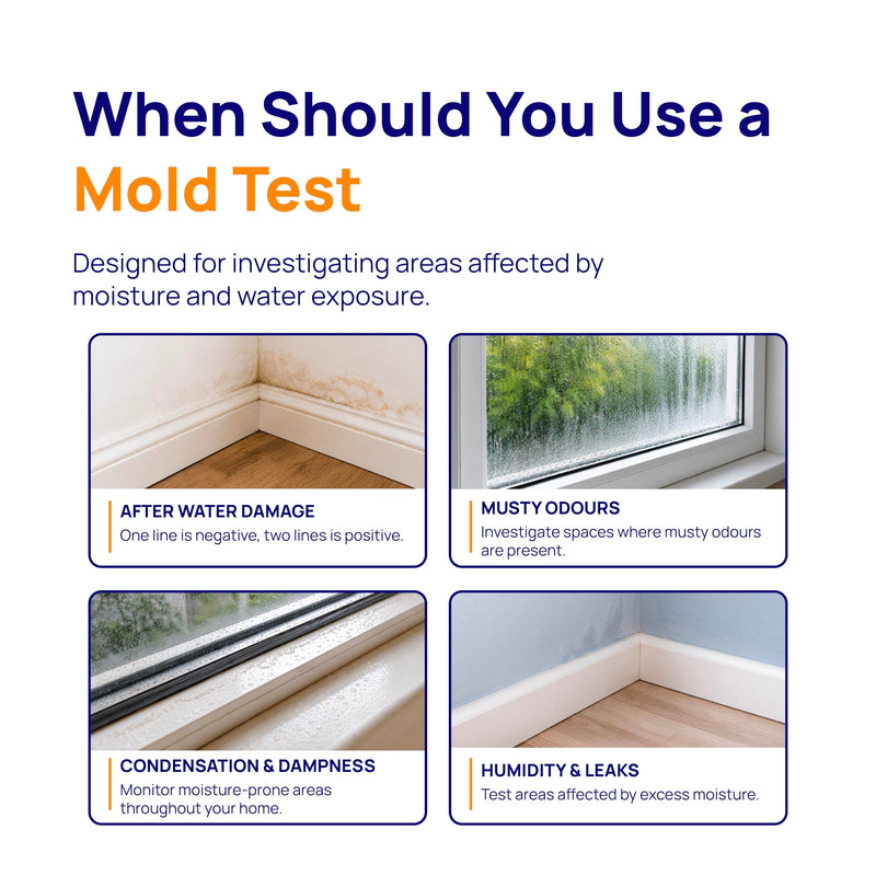 Healthful Home 5-Minute Mold Test Kit - Easy At-Home Mold Detection for Aspergillus/Penicillium & Stachybotrys, DIY Testing for Indoor Air & Moist Areas, No Lab Required, Includes Expert Consultation 1 Pack