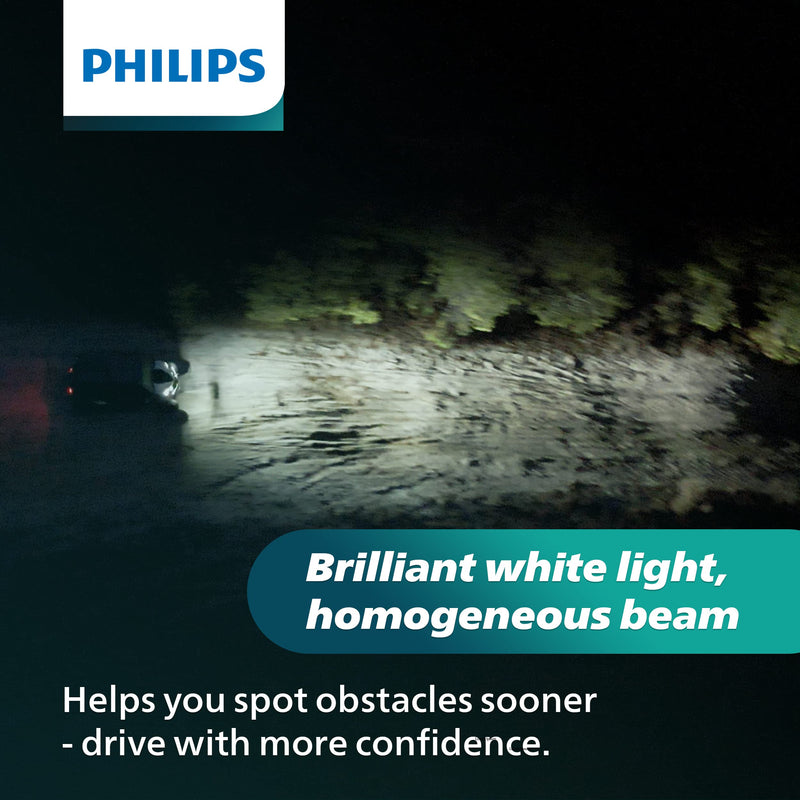 Philips UltinonSport H1 LED Bulb for Fog Light and Powersports Headlights, 2 Pack Clear