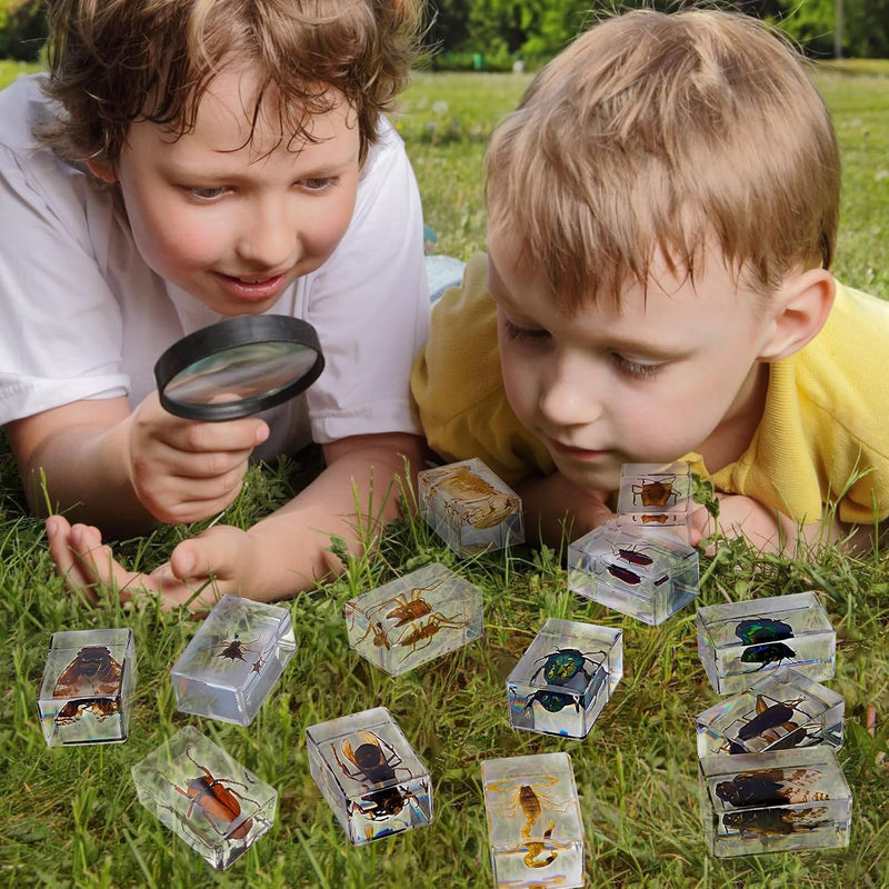30 PCS Insect in Resin Specimen Bugs Collection Paperweights, Various Taxidermy Bugs Insect Preserved in Resin for Kids Scientific Educational Display Supplies