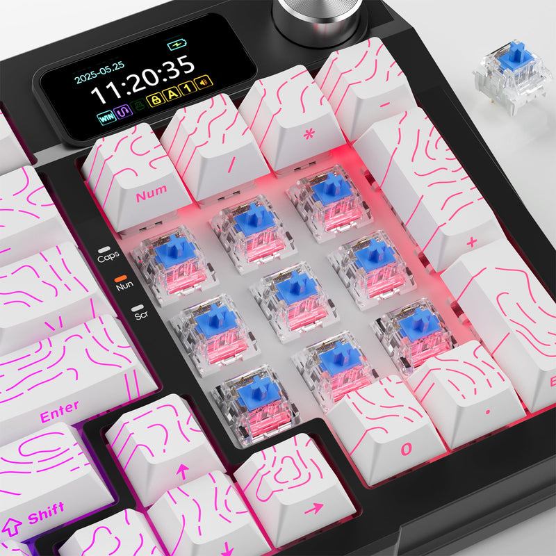 ZhouWang Blue Switch 3 Pin 60gf Pre-Lubricated,Dustproof Clicky Switch,Suitable for RGB,Mechanical Gaming Keyboards、MX Mechanical Keyboard(Blue,72PCS) 72Pcs