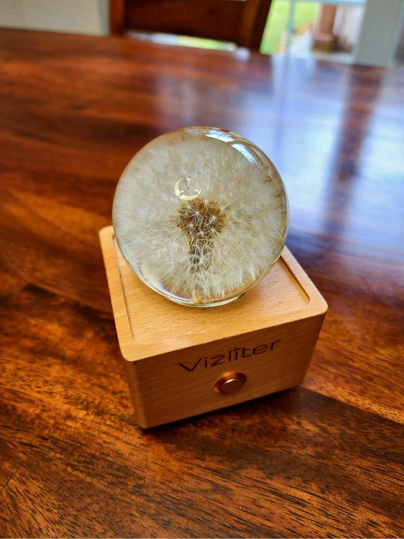 Vizliter Bluetooth Speaker Crystal Ball 65mm LED Lighting Premium Preserved Natural Flower with Wood Base Never Withered Eternal Night Light Audio Portable (Dandelion) Dandelion