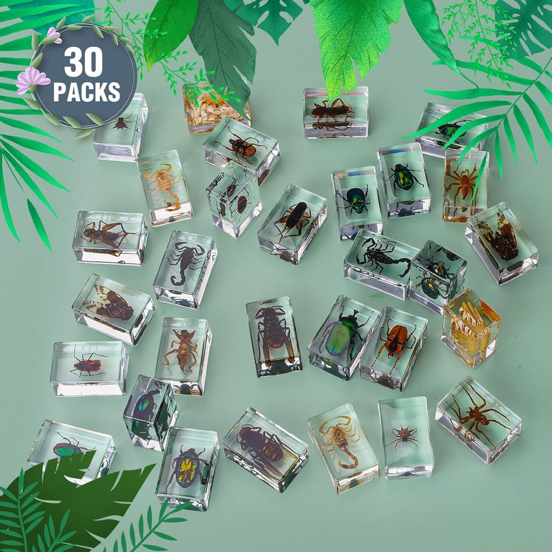 30 PCS Insect in Resin Specimen Bugs Collection Paperweights, Various Taxidermy Bugs Insect Preserved in Resin for Kids Scientific Educational Display Supplies