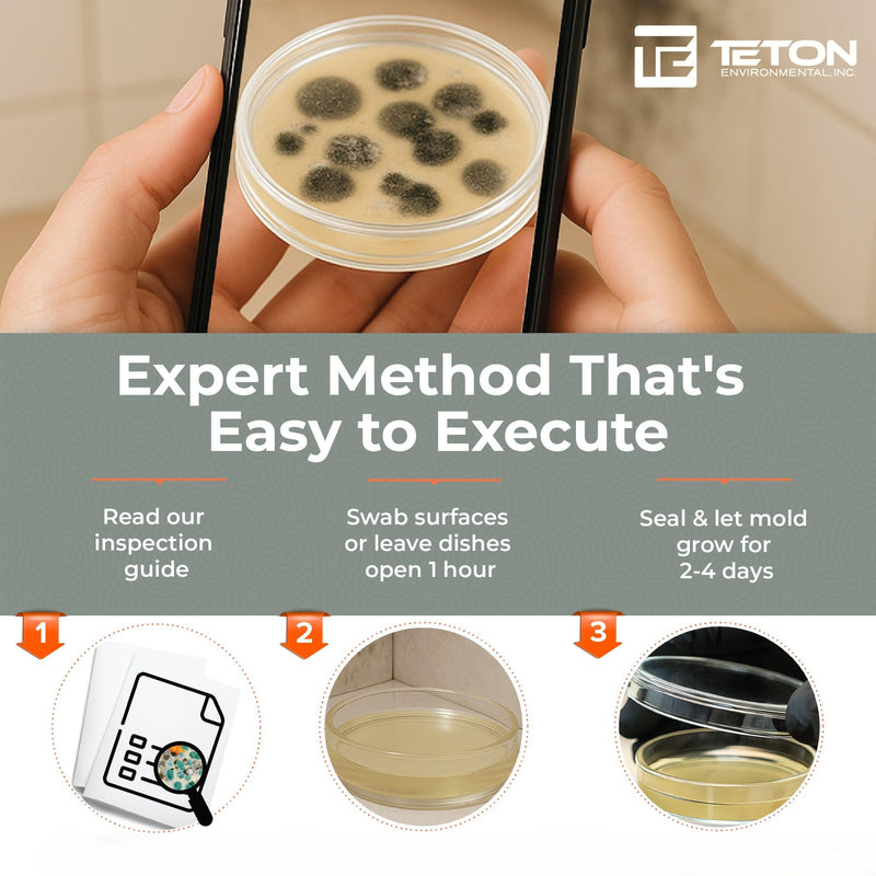 Mold Test Kit – Test 10 Different Areas in Home, Swab Sample and Air Sample, Easy-to-Use Guide, Professional-Grade Testing
