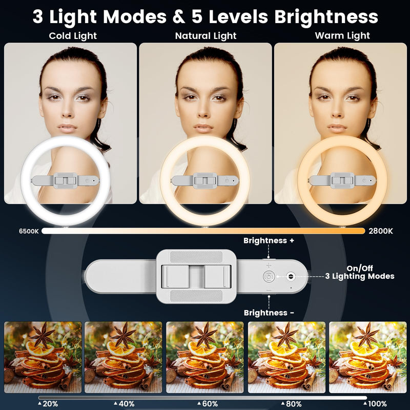 Ring Light with Overhead Phone Mount, 10" Selfie Light with Stand and Phone Holder for Video Recording, Desk Overhead Tripod for Content Creators, TikTok, YouTube, Zoom Meeting, Live Streaming