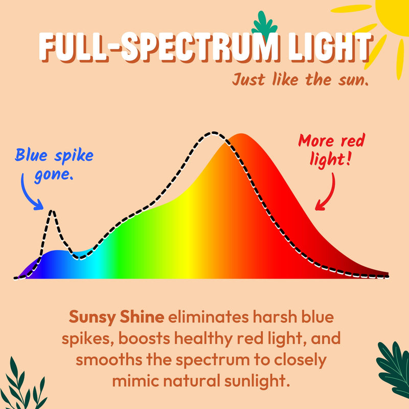 sunsy Shine A19 Full-Spectrum LED, 2700K Soft White, CRI 97, Flicker-Free | E26 base, dimmable, 670 lm at 11W, ETL & FCC certified, low-EMF, no UV or IR, 25,000-hr lifespan, 3-yr warranty, US-based