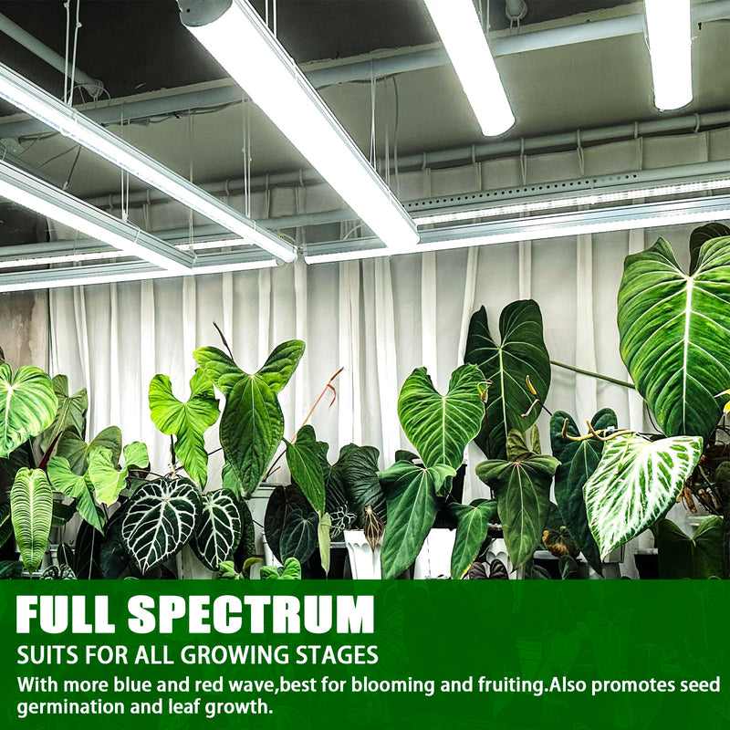 F24T5/865 6 Pack 22 Inch T5 Fluorescent Grow Light Bulbs, 24W 6500K Full Spectrum, 2000 Lumens, High Output (HO) Bulbs for Indoor Plants, Seedlings, Veg Growing, Sunlight White, Energy Efficient 24.0