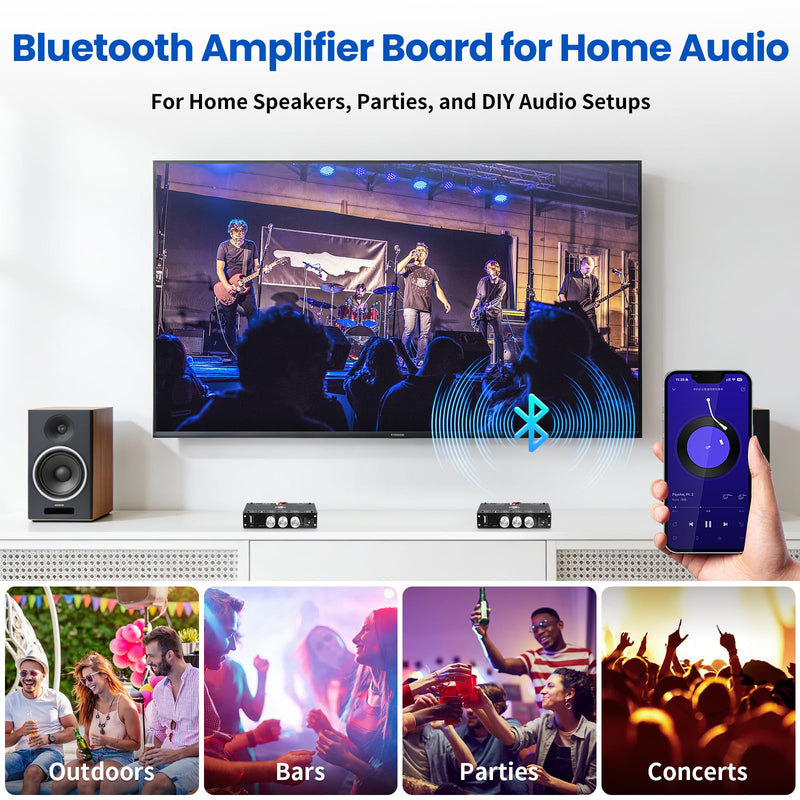 TW100U Mono Bluetooth Amplifier Boards, 2-PCS | 2 TPA3116D2 mono boards with TWS pairing, Bluetooth, AUX and USB inputs plus bass-treble controls, DC 12-24V.
