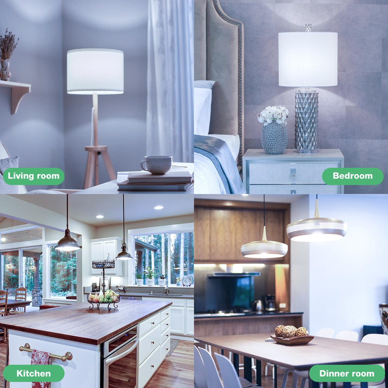 DEGNJU Light Bulbs, 100 Watt Equivalent LED Bulbs A19, 5000K Daylight Light Bulbs, E26 Standard Base, 1500 Lumens, Non-Dimmable, 13W Bright White LED Bulb for Bedroom Home Office, 24 Pack 100w-daylight