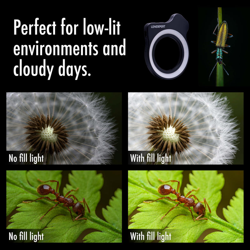 FL26 Macro Photography Pocket Ring Light – Smartphone Clip-On LED Fill Light for Close-Up Photography – Rechargeable and Adjustable Brightness – Compatible with iPhone, Samsung, Android
