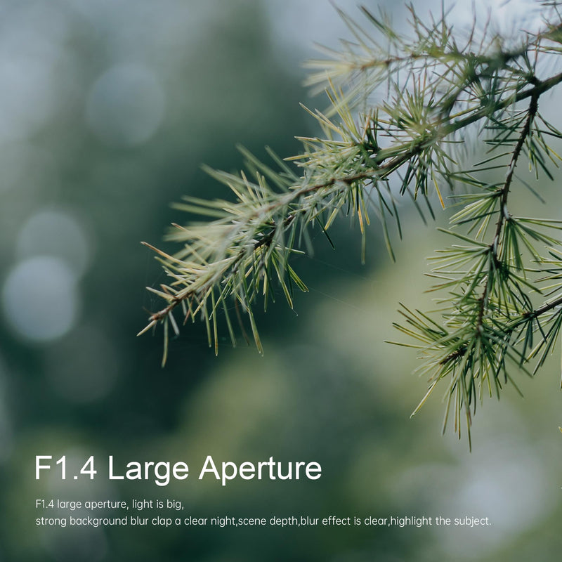 7artisans 55mm F1.4 Manual Focus Camera Lens APS-C Mirrorless Camera Lens for Sony E Mount Cameras Like A6300 A6400 A6500 NEX-3 NEX-3N NEX-5T NEX-5R A7 A7II A7RIII