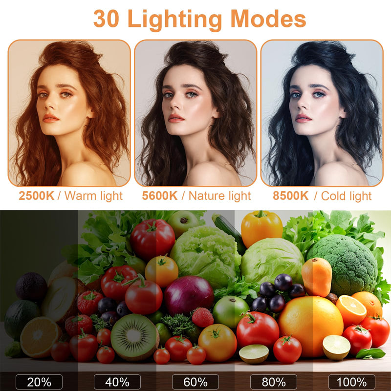 2-Pack LED Video Light Kit, Anautin 15W/1700Lux Photography Lighting with Tripod Stand, 2500-8500K Studio Light, Dimmable Stream Panel Light for Video Recording Gaming TikTok YouTube Podcast Makeup 2-Pack