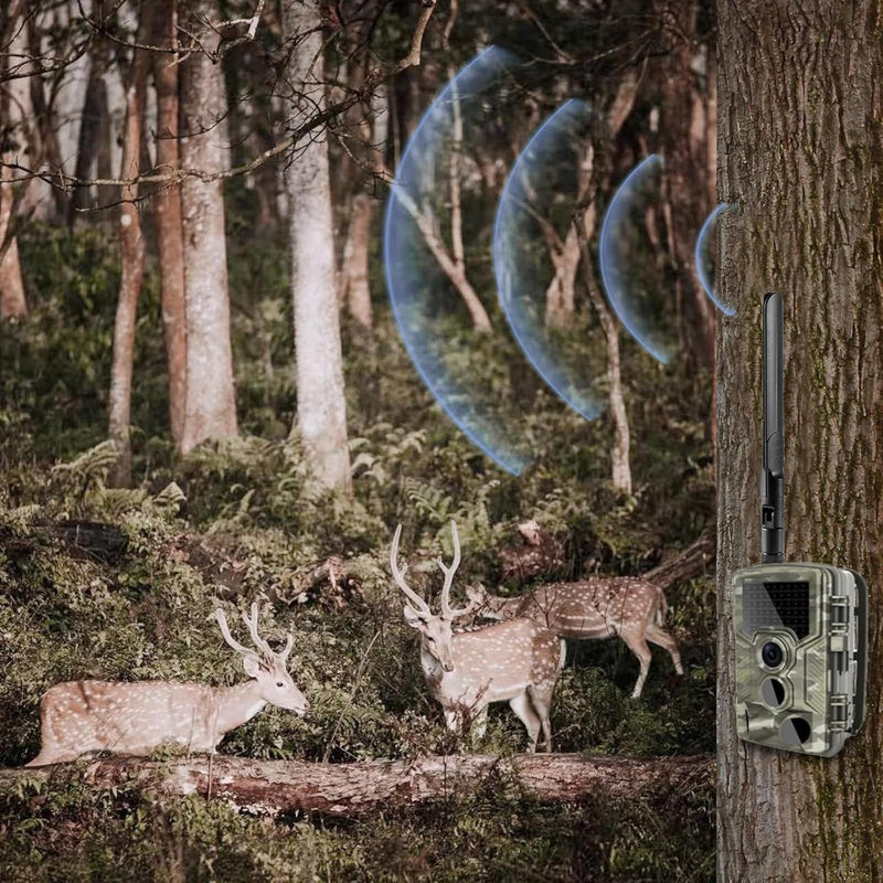 Omni Directional 4G LTE Cellular SMA Male Antenna Compatible with Spypoint LM2 Flex-S Flex-M Flex-Plus Trail Camera Moultrie Spartan Loatos Trail Camera 4G LTE Wireless Router Mobile Hotspot