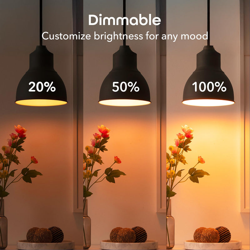 Geeni Prisma Plus 800 Dimmable Smart Light Bulbs with 2.4 GHz Wi-Fi Connectivity – Color-Changing & Tunable White, A19 LED Smart Bulb – Works with Alexa & Google, 4-Pack 4 Pack